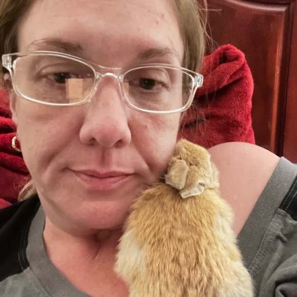 LISTING FOR CHATTING - Picture 6 of 11